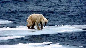 L'accord de Paris sur le climat-effets