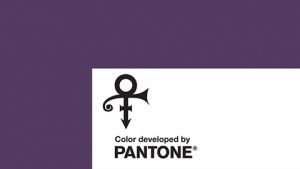 industrie-de-la-joaillerie-purple