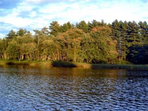Renous riviere peche