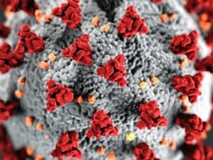 coronavirus